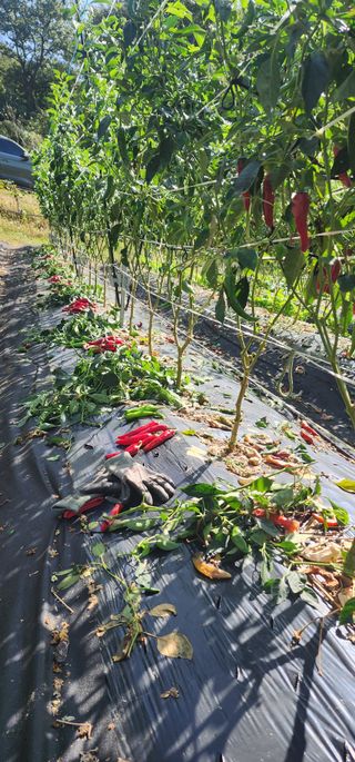 이종열님의 자유주제 · 자유게시판 작성글 사진