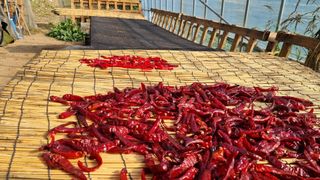 이종열님의 자유주제 · 자유게시판 작성글 사진