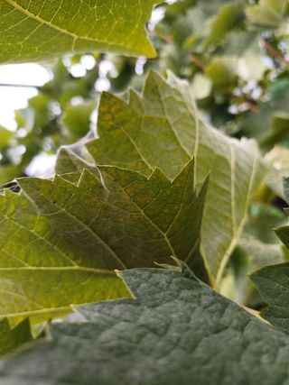 못내뜰애농원님의 자유주제 · 자유게시판 작성글 사진