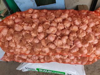 김영복님의 작성글 사진