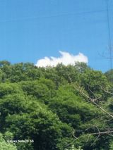 팜모닝 💚우리 동네 자랑하기·참여글 게시글 이미지