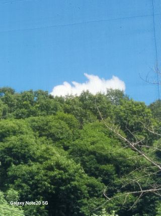 강화댁님의 💚우리 동네 자랑하기 · 참여글 작성글 사진