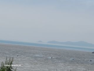 강화댁님의 💚우리 동네 자랑하기 · 참여글 작성글 사진