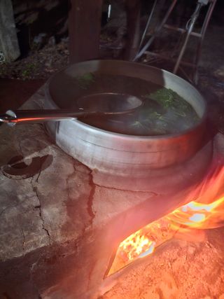 배성은365님의 기타작물 · 영농일지 작성글 사진