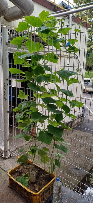 이강재님의 자유주제 · 자유게시판 작성글 사진