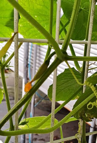 이강재님의 자유주제 · 자유게시판 작성글 사진