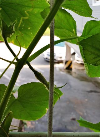 이강재님의 자유주제 · 자유게시판 작성글 사진