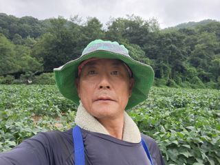 임원식님의 콩 · 영농일지 작성글 사진