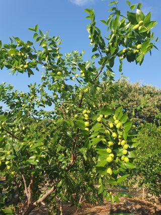 최동수님의 자유주제 · 자유게시판 작성글 사진