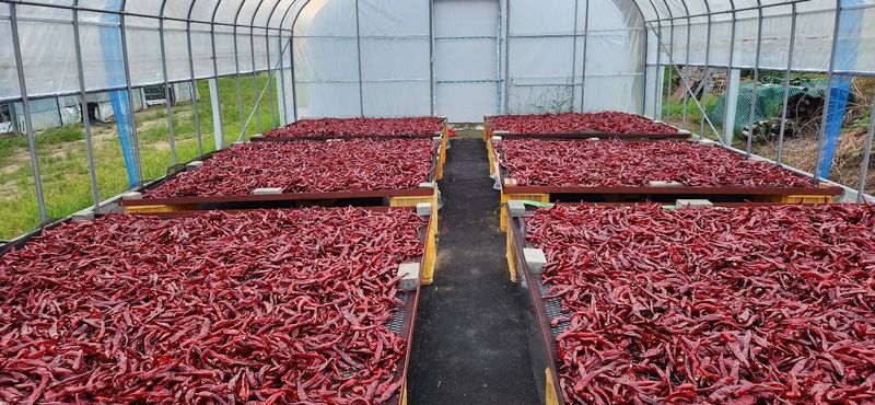 장터 상품 [고추가루1kg] 썸네일