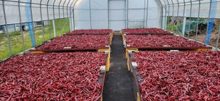 작두콩님의 작성글 사진