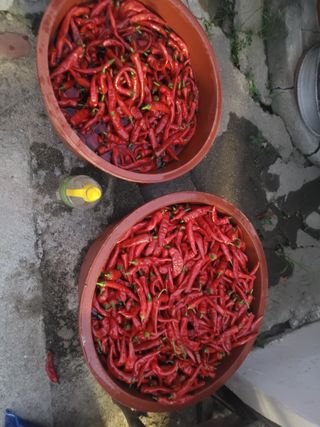 찬균park님의 자유주제 · 자유게시판 작성글 사진