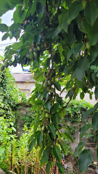 구자안님의 자유주제 · 사진전 작성글 사진