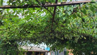 구자안님의 자유주제 · 사진전 작성글 사진