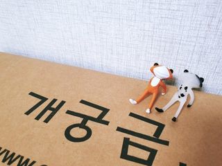 머루포도주님의 자유주제 · 자유게시판 작성글 사진