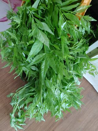 이현상님의 자유주제 · 자유게시판 작성글 사진