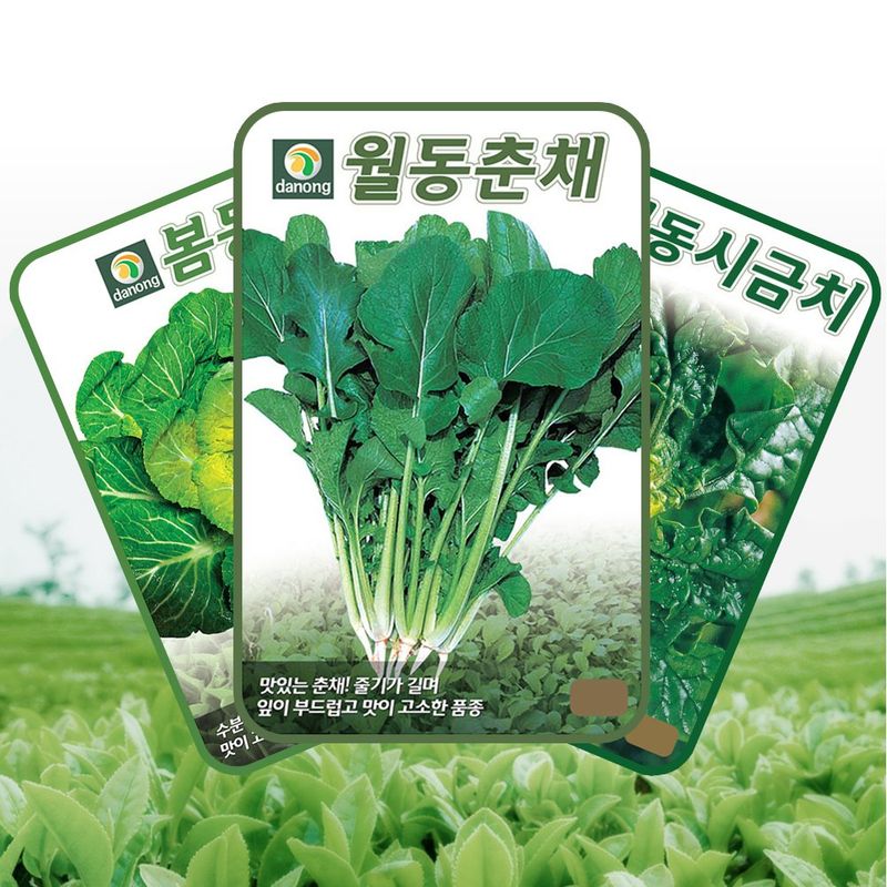 장터 상품 [월동채소 씨앗 3종 세트 봄동배추 월동춘채 시금치 씨 종자] 썸네일