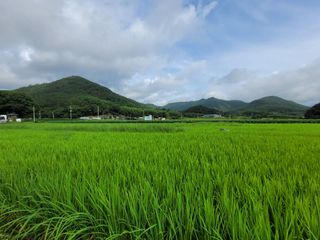 고환석님의 기타작물 · 영농일지 작성글 사진