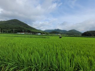 고환석님의 기타작물 · 영농일지 작성글 사진