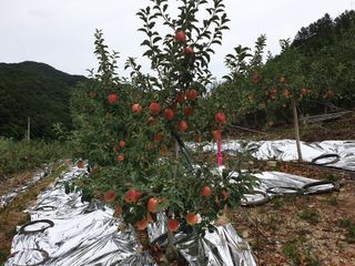 김인태님의 자유주제 · 자유게시판 작성글 사진