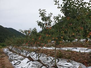 김인태님의 자유주제 · 자유게시판 작성글 사진