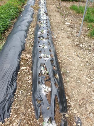 김인태님의 자유주제 · 자유게시판 작성글 사진