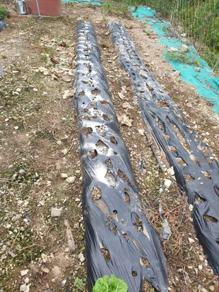 김인태님의 자유주제 · 자유게시판 작성글 사진