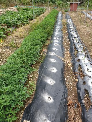 김인태님의 자유주제 · 자유게시판 작성글 사진