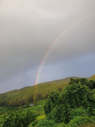 정봉원님의 자유주제 · 자유게시판 작성글 사진