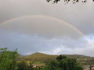 정봉원님의 자유주제 · 자유게시판 작성글 사진