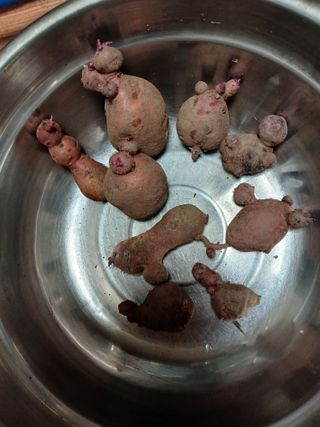 농사정보배우고싶어요님의 자유주제 · 자유게시판 작성글 사진