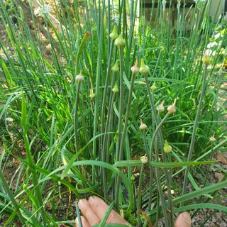 인생은 소풍처럼님의 자유주제 · 자유게시판 작성글 사진