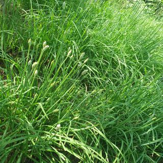 인생은 소풍처럼님의 자유주제 · 자유게시판 작성글 사진