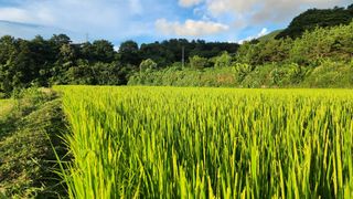 이규섭님의 자유주제 · 자유게시판 작성글 사진