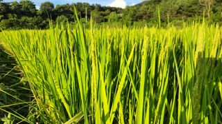 이규섭님의 자유주제 · 자유게시판 작성글 사진