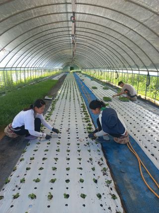 농민님의 자유주제 · 자유게시판 작성글 사진