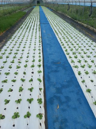 농민님의 자유주제 · 자유게시판 작성글 사진