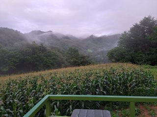 낙엽교목류29089님의 자유주제 · 자유게시판 작성글 사진