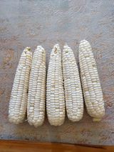 팜모닝 · 게시글 이미지