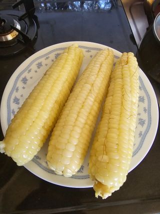 정태권님의 작성글 사진