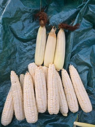 정태권님의 작성글 사진