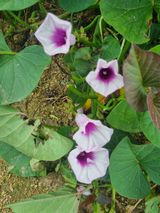 팜모닝 자유주제·사진전 게시글 이미지