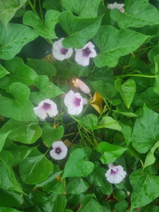 자유인 10496님의 자유주제 · 사진전 작성글 사진