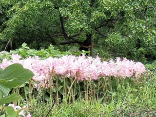 자유인 10496님의 자유주제 · 사진전 작성글 사진