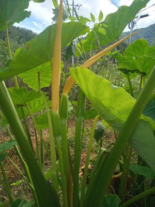 자유인 10496님의 자유주제 · 사진전 작성글 사진