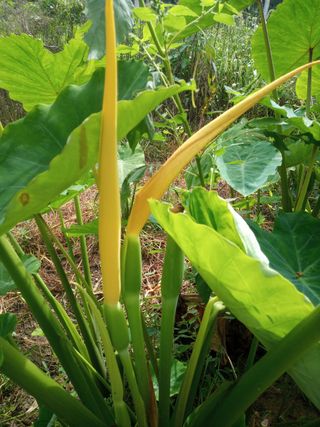 자유인 10496님의 자유주제 · 사진전 작성글 사진