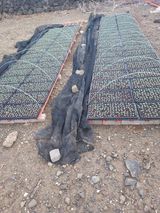 팜모닝 자유주제·자유게시판 게시글 이미지