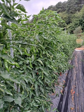 박명옥남편님의 자유주제 · 사진전 작성글 사진