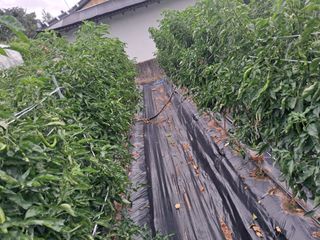 박명옥남편님의 자유주제 · 사진전 작성글 사진