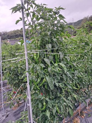 박명옥남편님의 자유주제 · 사진전 작성글 사진